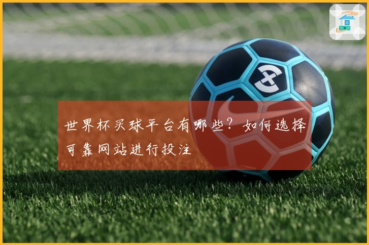 世界杯买球平台有哪些？如何选择可靠网站进行投注