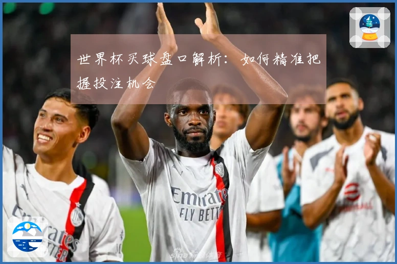 世界杯买球盘口解析：如何精准把握投注机会