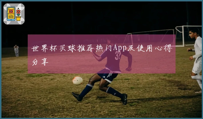 世界杯买球推荐热门App及使用心得分享