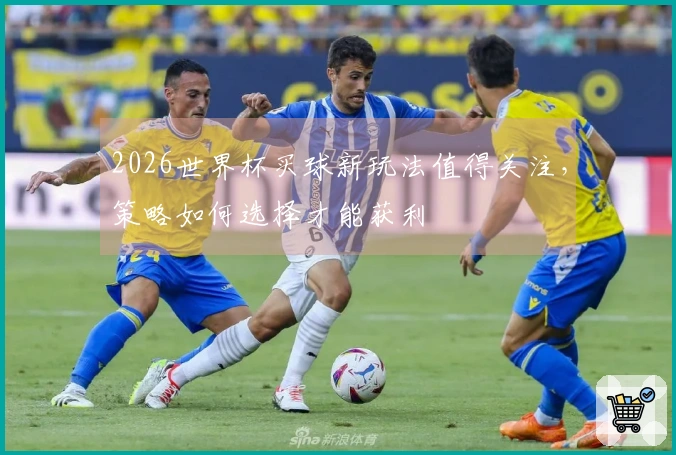 2026世界杯买球新玩法值得关注，策略如何选择才能获利