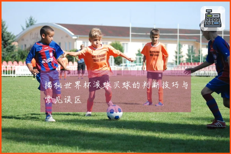 揭秘世界杯滚球买球的判断技巧与常见误区