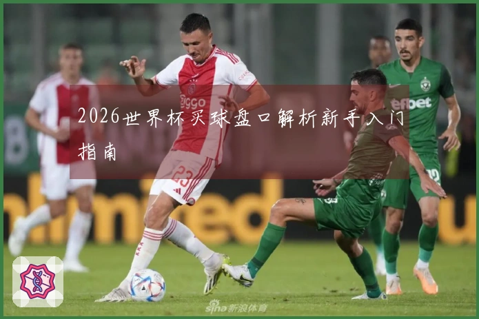 2026世界杯买球盘口解析新手入门指南